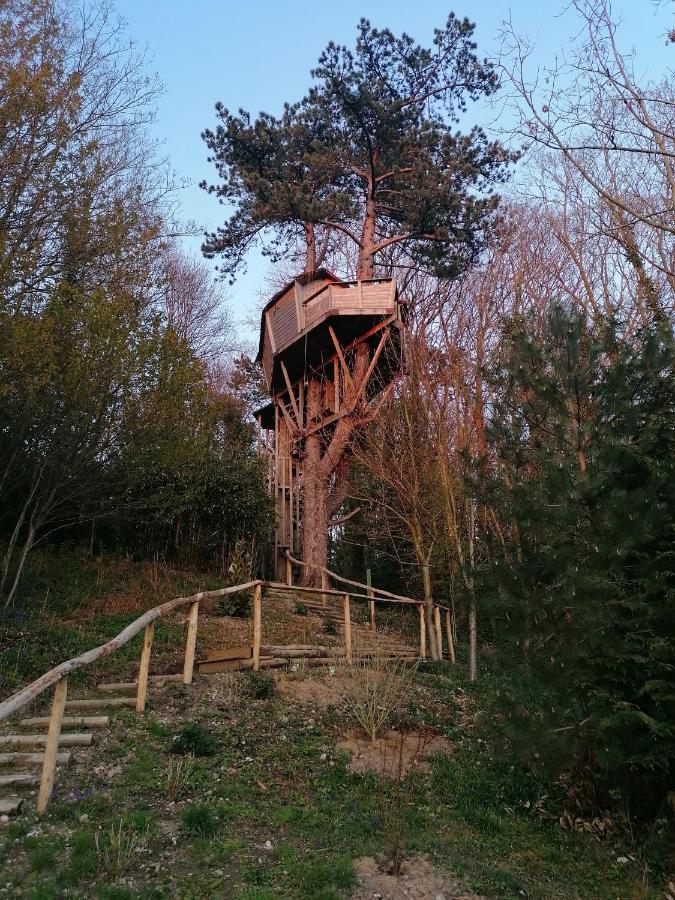 Sherwood Tree Этрета Экстерьер фото