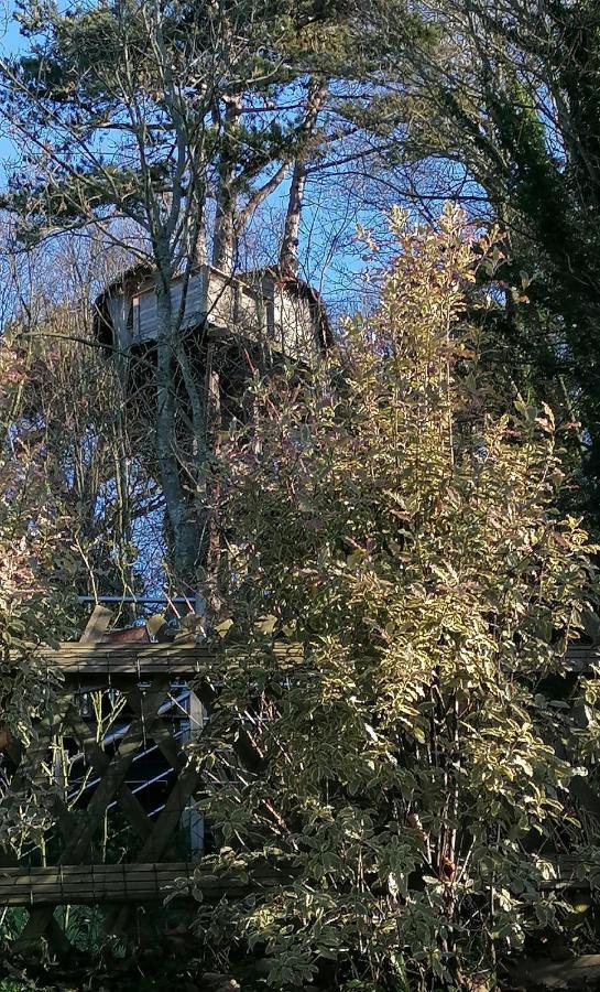 Sherwood Tree Этрета Экстерьер фото