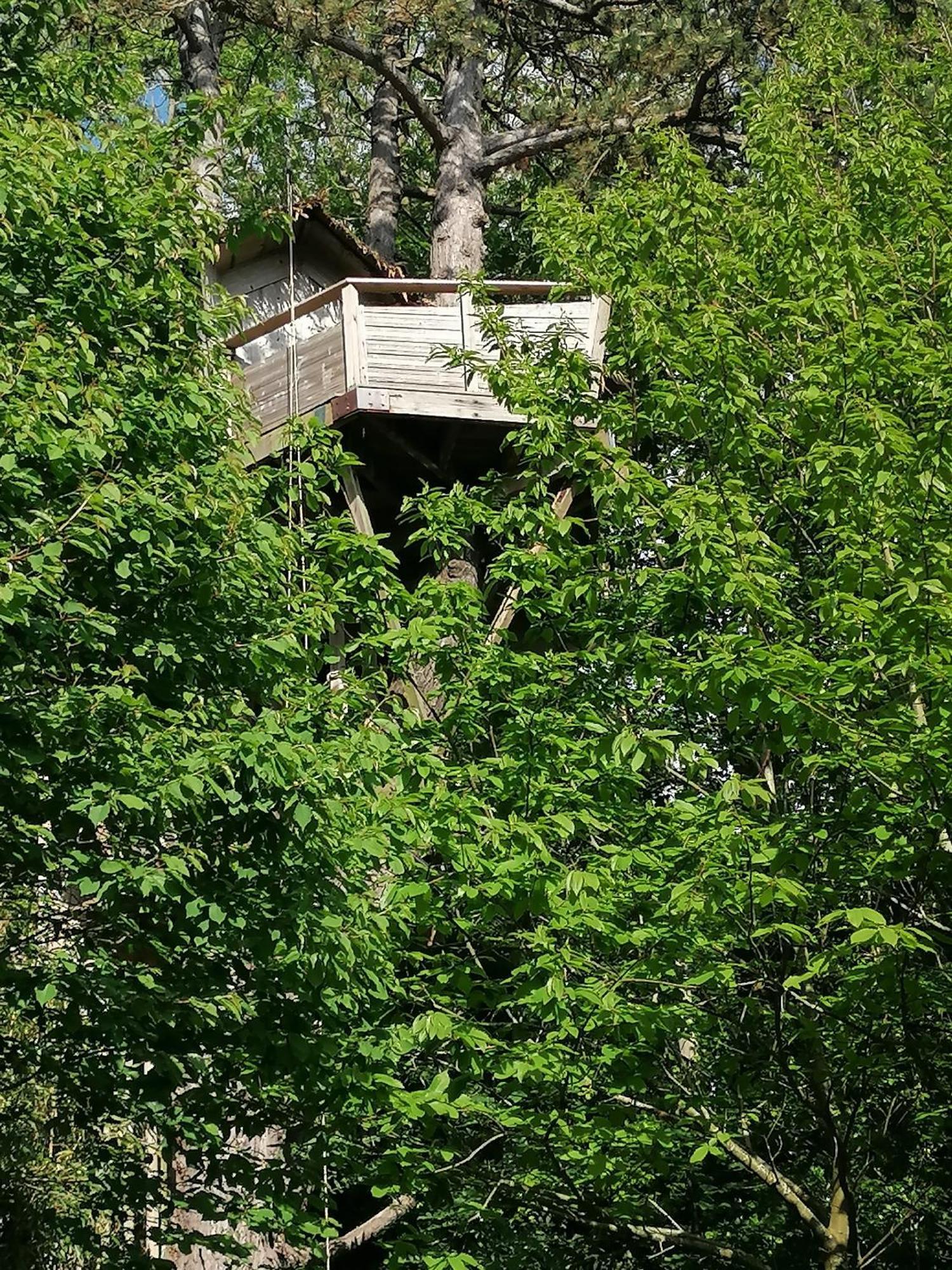 Sherwood Tree Этрета Экстерьер фото